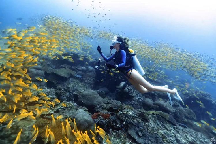 关于潜水呼吸赛,海底深潜的速度与耐力较量的信息 关于潜水呼吸赛,海底深潜的速度与耐力较量的信息