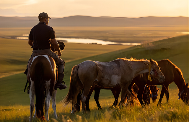 乐鱼电竞-草原骑马体验营，感受民族传统运动魅力的简单介绍