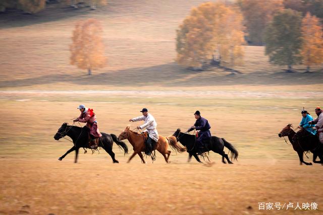 草原骑马体验营,感受民族传统运动魅力的简单介绍 草原骑马体验营,感受民族传统运动魅力的简单介绍