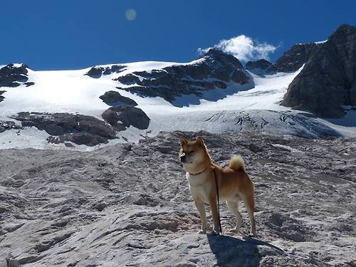 _网球联盟推新赛制，激发赛事观赏性和竞争性_，网球职业联盟