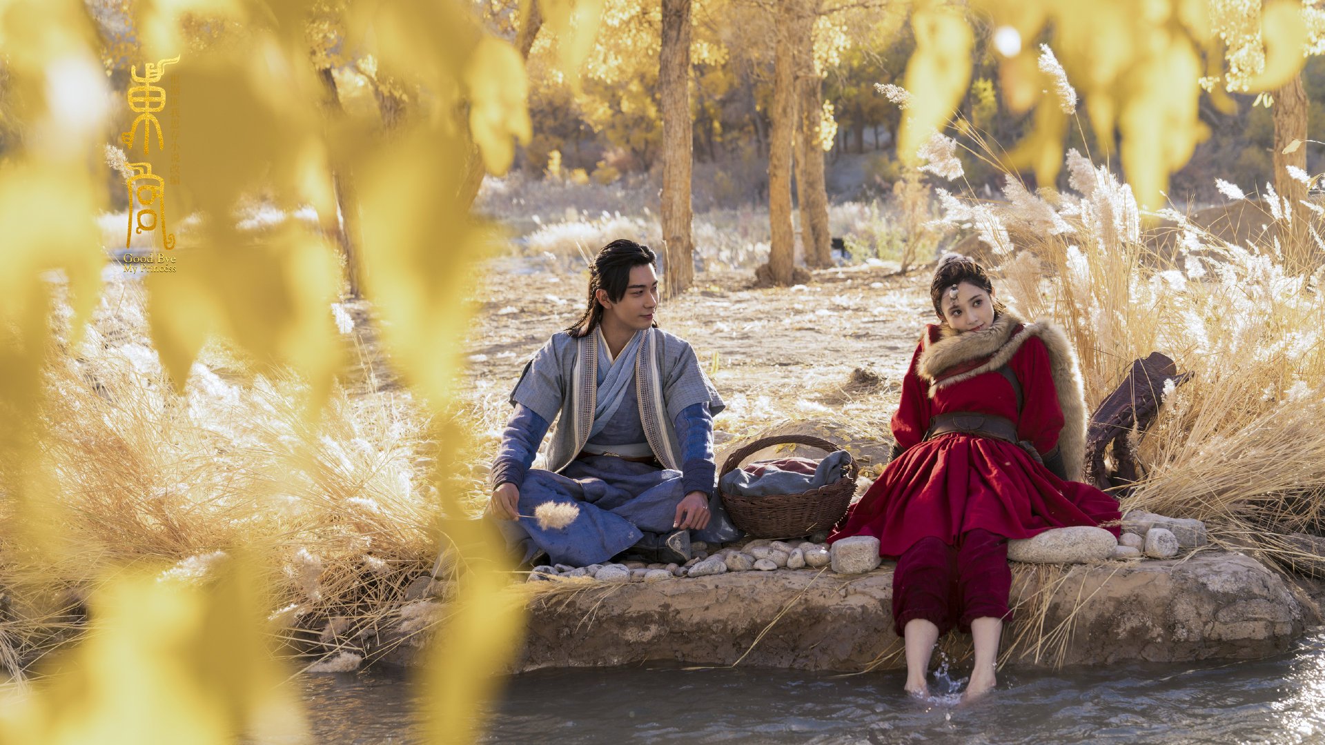 _网球训练新装备:科技引领培训新时代_,新型网球训练器