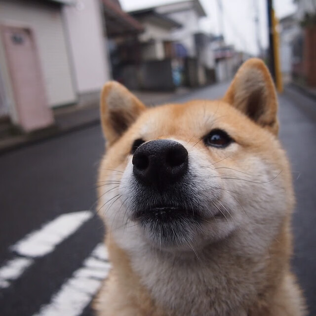 _网球运动公益行:助力偏远地区运动发展_,国家对网球的政策扶持