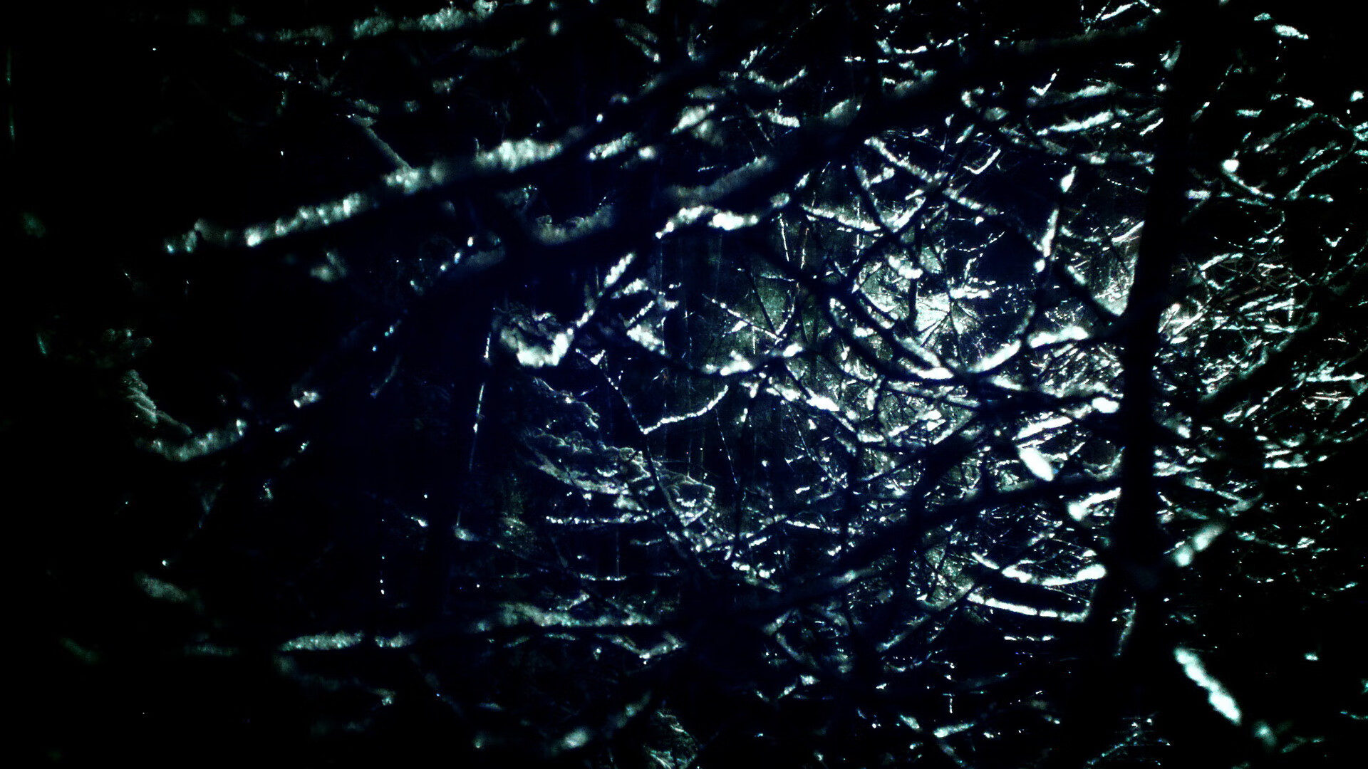 Leyu Sports (乐鱼体育)-中国体育彩票·2024年全国大学生象棋锦标赛在深圳理工大学开赛，全国大学生象棋联赛