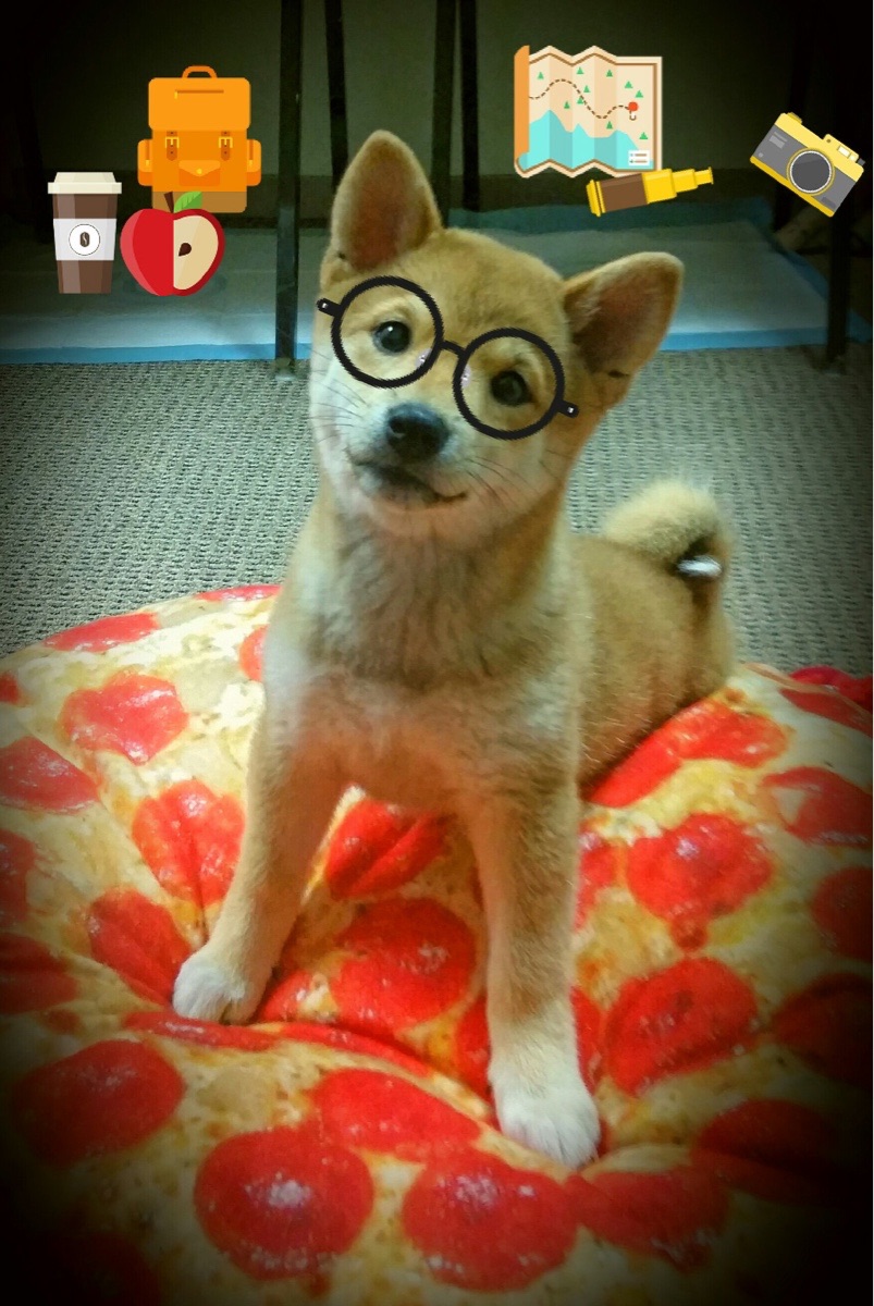 守望先锋 新赛季战队状态回升,守望先锋当前赛季