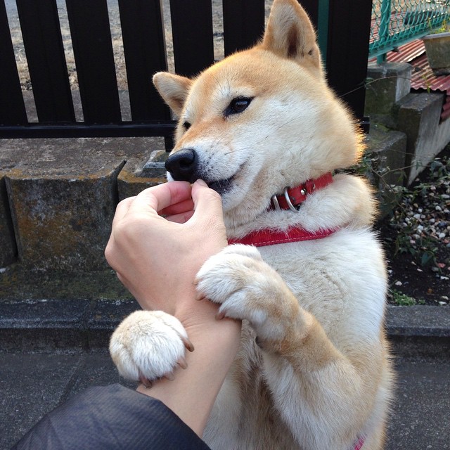 足球直播间互动功能增强球迷粘性,足球直播话术