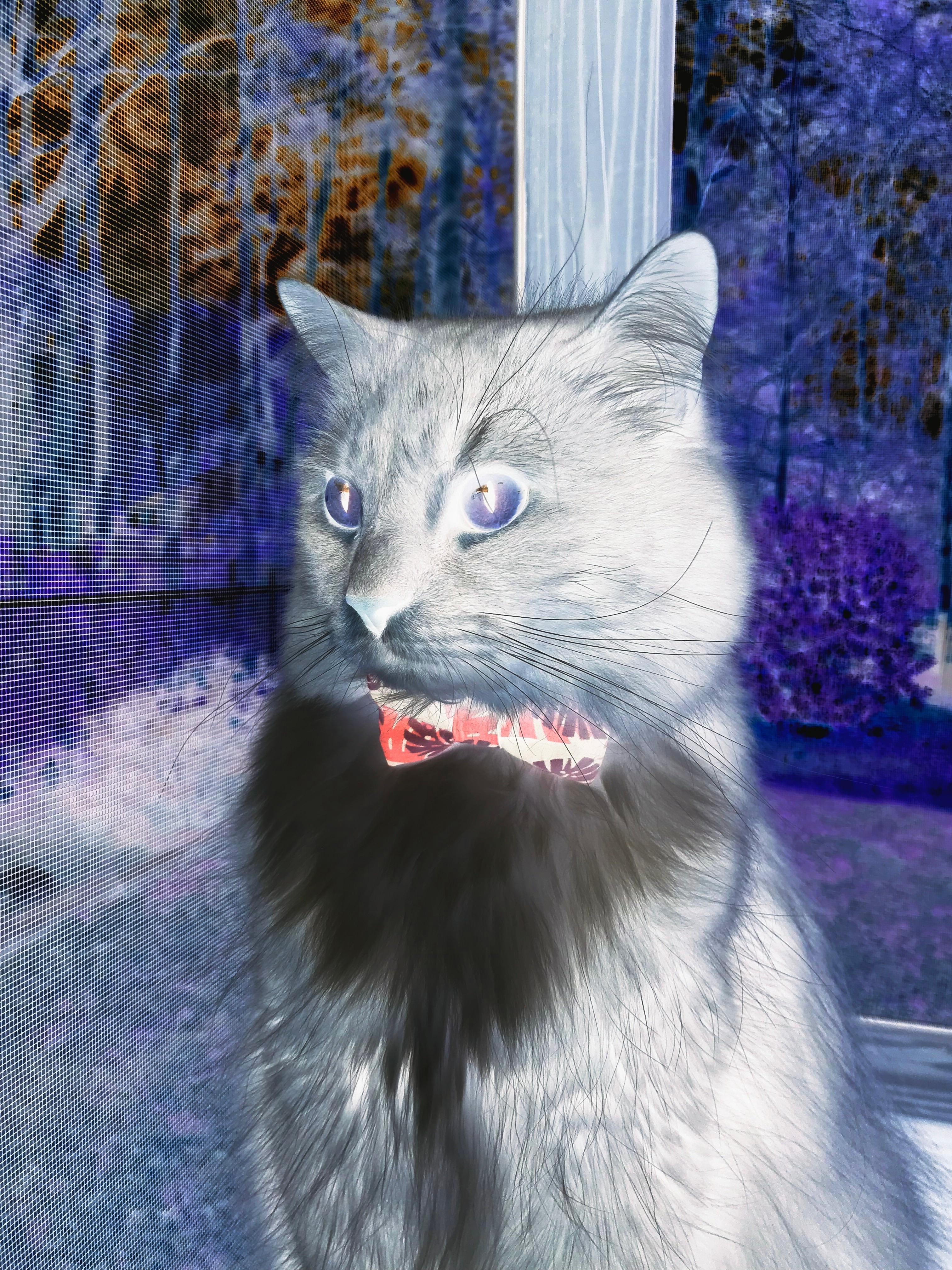 青少年“梦想奋斗”系列公益篮球赛在南京盛大举行，激励青年成长