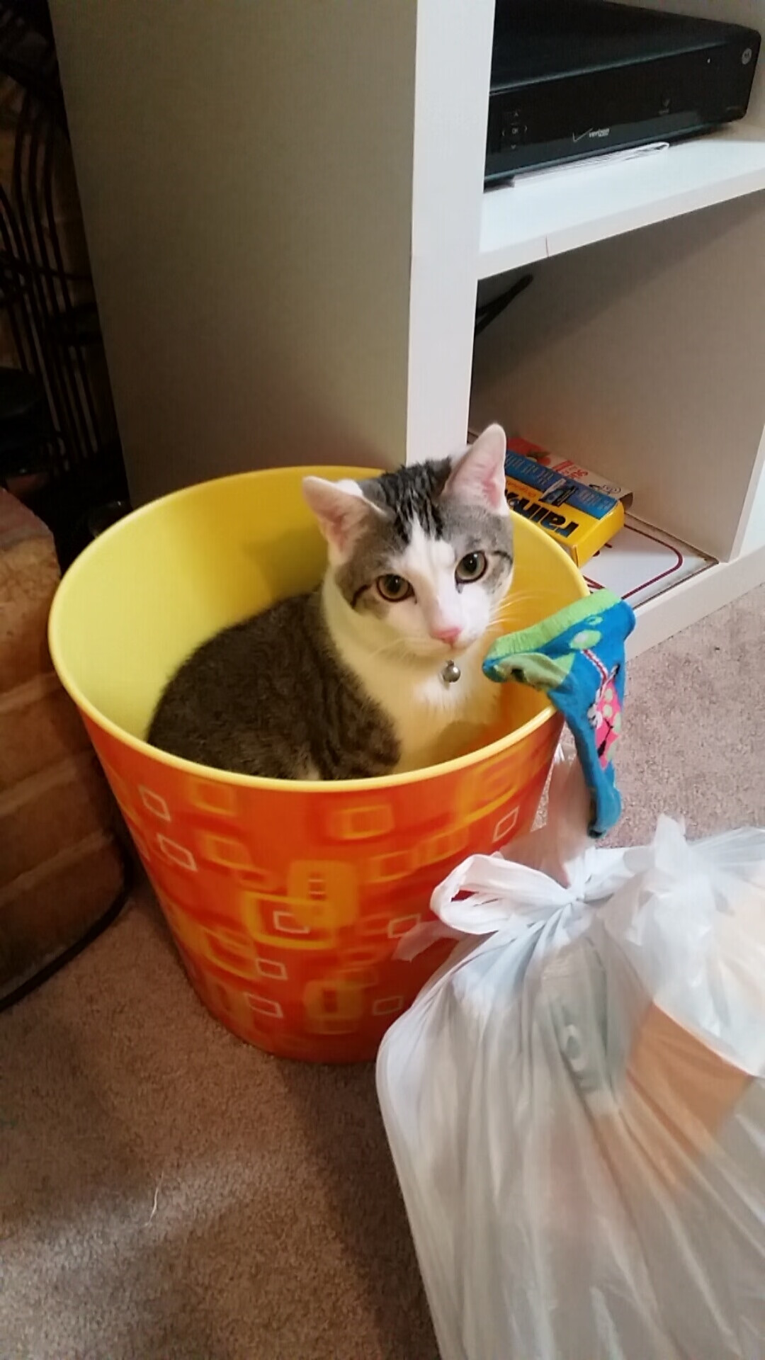 公牛队后卫拉文连续三场得分破，公牛队的拉文是扣篮王吗