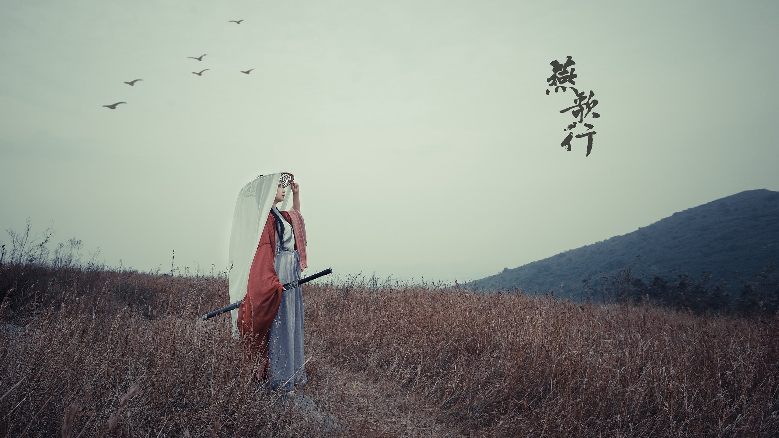 公牛队年轻阵容磨合成效显著,公牛队的阵容