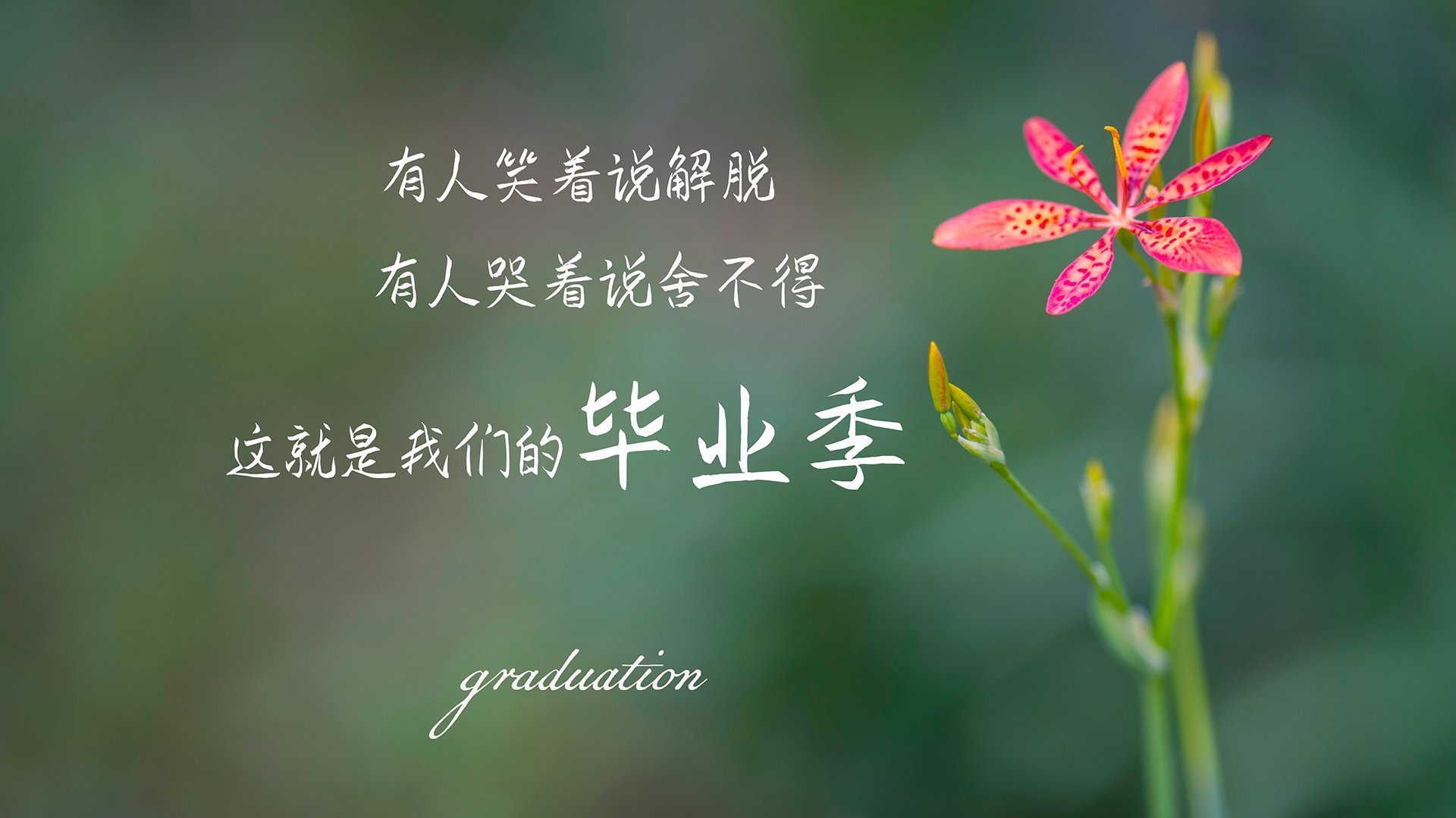 国足全队合力战胜对手，晋级国际赛决赛，国足 决赛