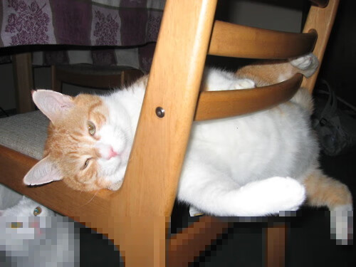 弗拉门戈赛季目标明确,弗拉门戈阵容2020