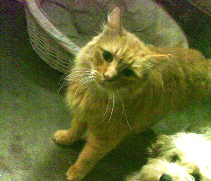 乐鱼电竞在线平台登录入口-武汉卓尔客场逆转，实现惊险胜利，武汉卓尔2021年主场