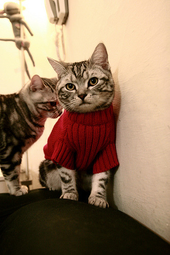 菲律宾代表团副团长凯伦·卡巴列罗点赞亚运村设施与中餐。，菲律宾卡拉巴松在哪