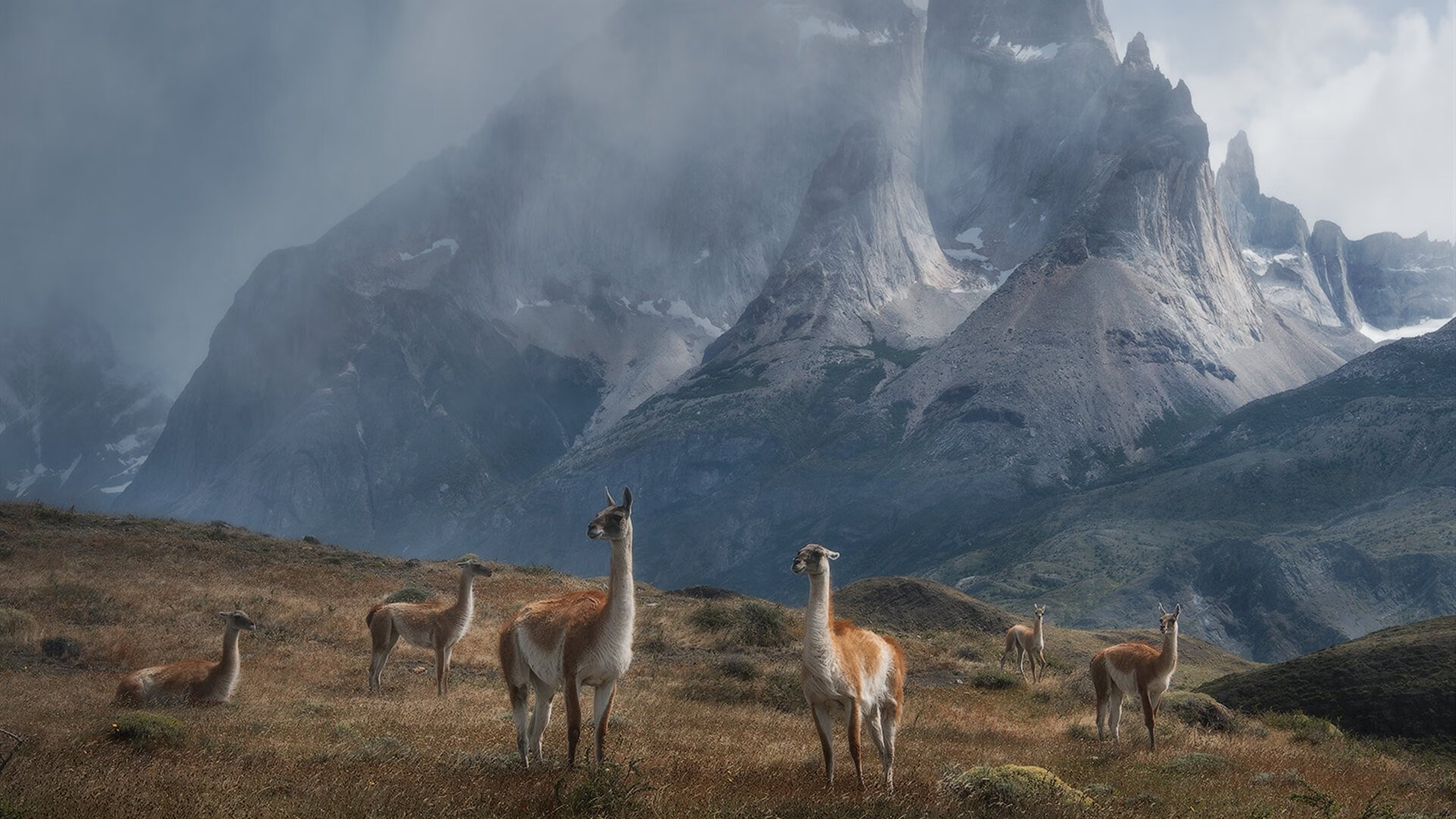 辽宁本钢球队比赛心态稳定,辽宁本钢队比赛视频