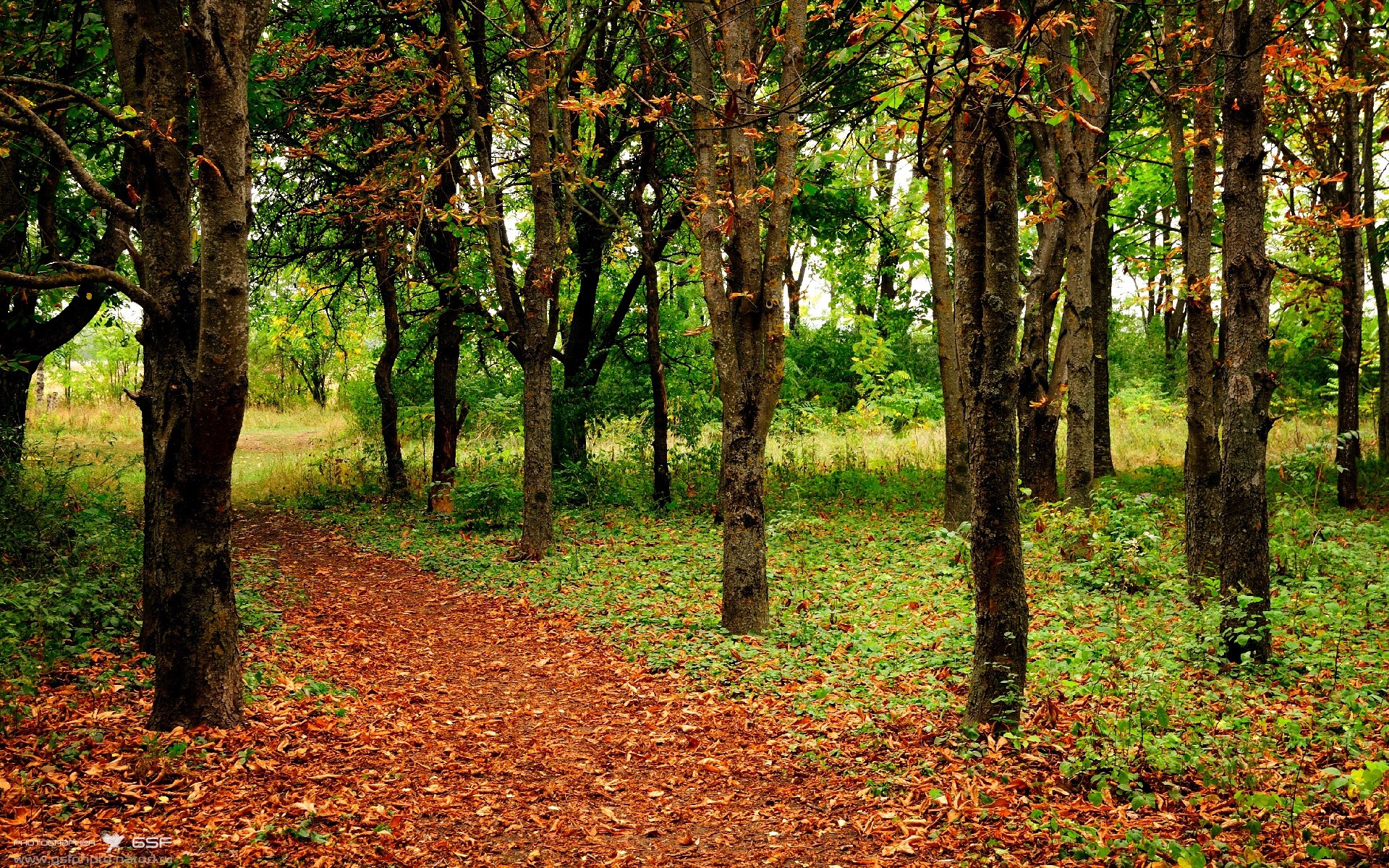 APP下载 LY Sports-CBA如何平衡竞技性与商业化目标，cba运作模式