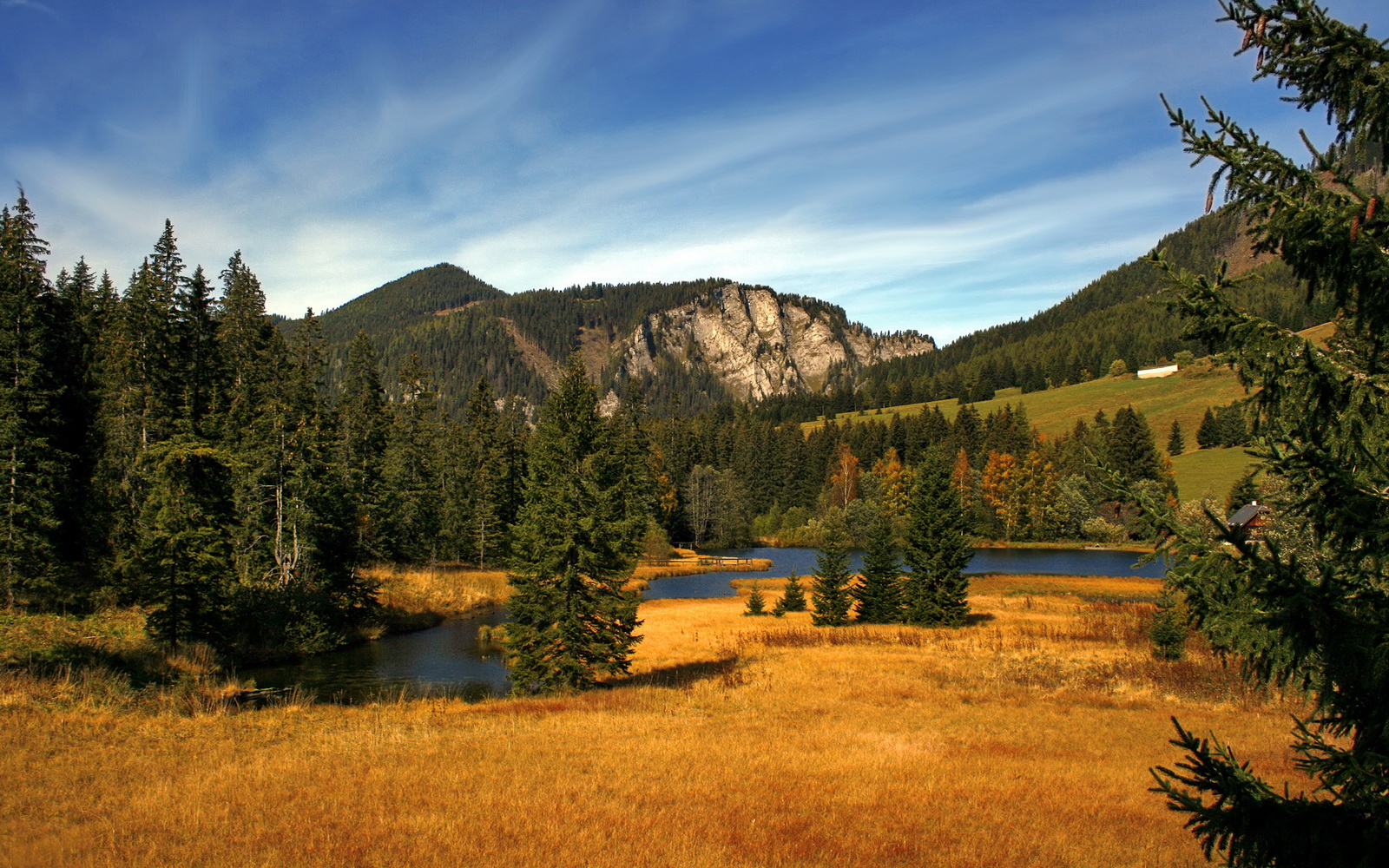 “六人制袋棍球:成都七中东部赛场精彩对抗,观众热血沸腾”