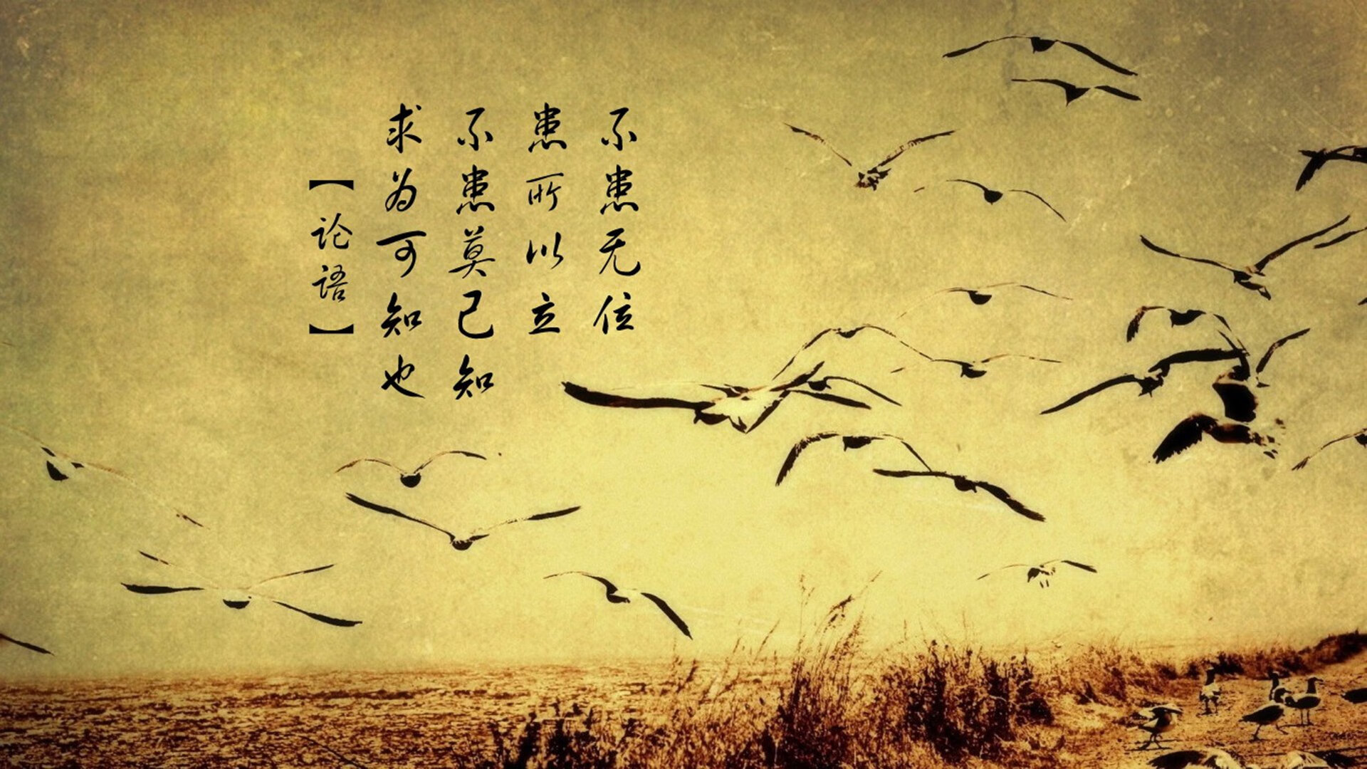 奥运村生活保障服务全面升级,奥运村条件