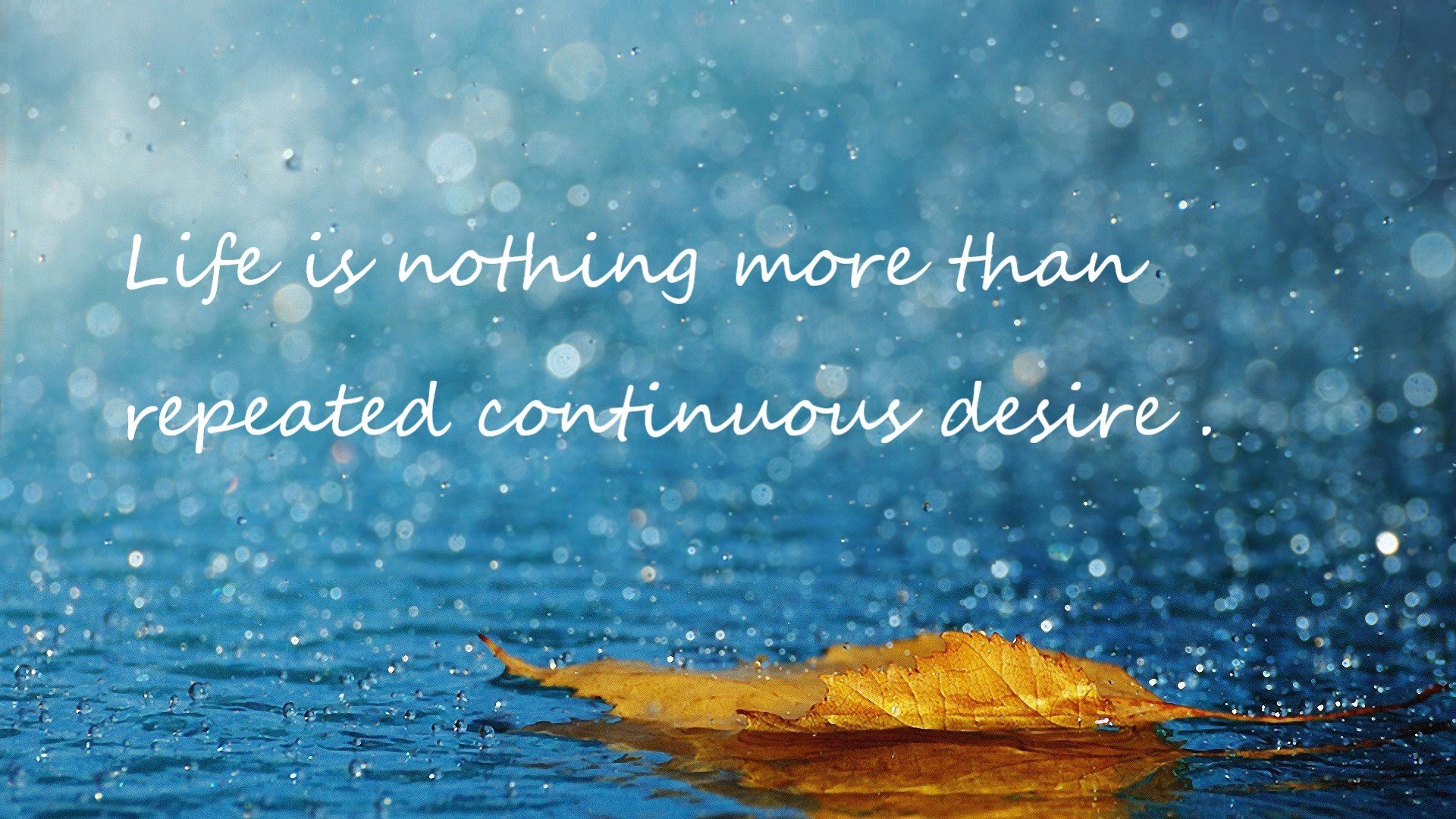 年轻阵容展示未来潜力,最年轻的职业球员