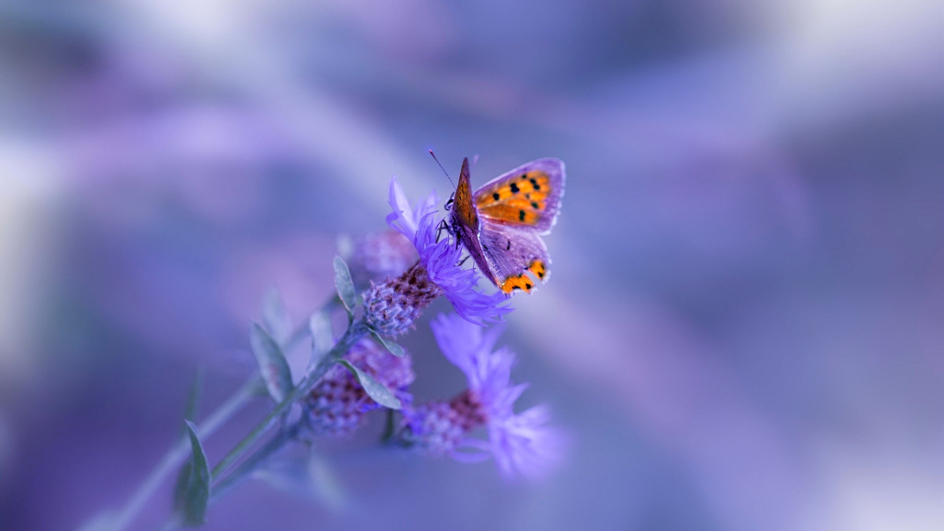 球队内部管理结构调整激发更多潜力,球队管理工作人员