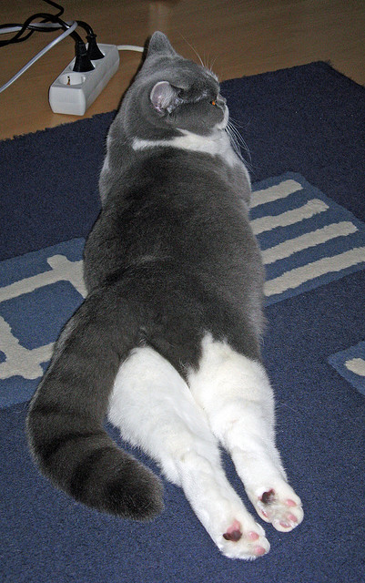 纵深跑位打通禁区切入路线,纵深线是什么意思