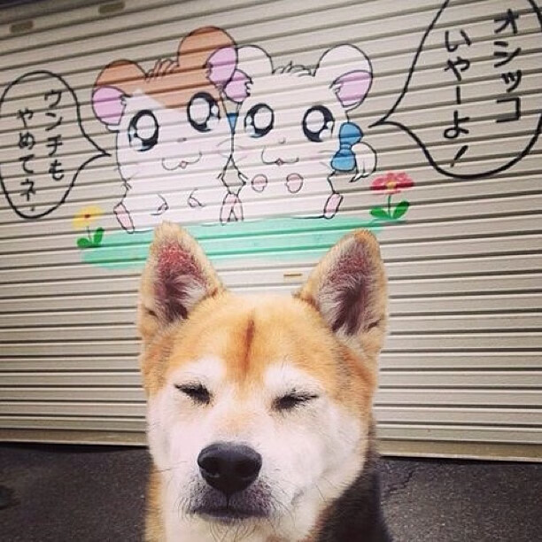 leyu乐鱼在线登录入口-水球焦点战摩纳哥沉着应对