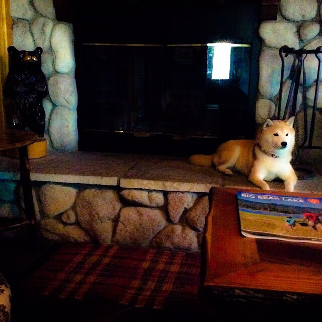 乐鱼体育(中国)官方网站-英超惊险逆转：毫无退缩精神的足球奇迹，“英超”