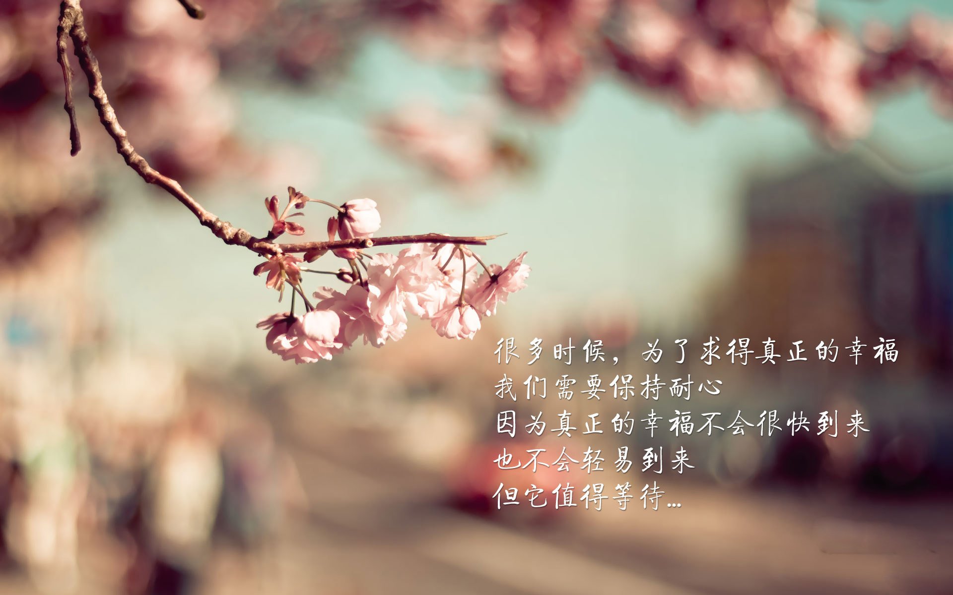 虚拟现实技术助力青少年学习足球战术,学习效率大幅提升,什么是虚拟足球